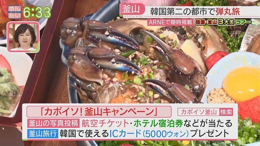 VTR企画|韓国釜山3大美ツアー 前編 VTR企画|韓国釜山3大美ツアー 前編