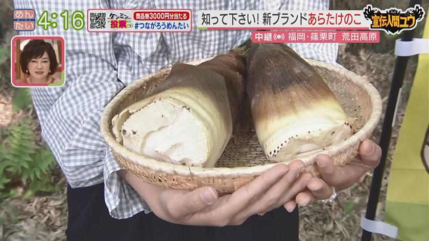 合馬タケノコに続け!篠栗産タケノコを新名物に｜めんたいワイド｜FBS