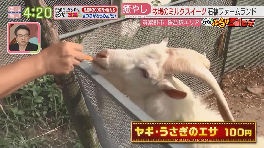 クイズぶらりSHOW|西鉄桜台駅周辺(筑紫野市) クイズぶらりSHOW|西鉄桜台駅周辺(筑紫野市)