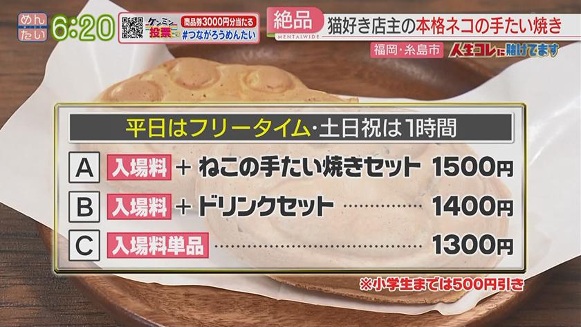 人生コレに賭けてます｜命をつなぐ保護猫カフェ店主