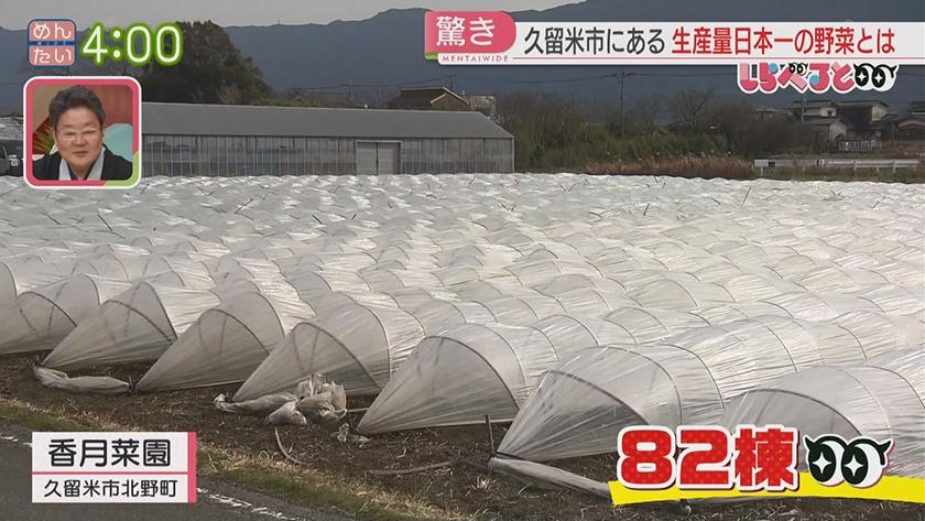 夕刊めんタイムリー｜久留米市で生産量日本一!の野菜