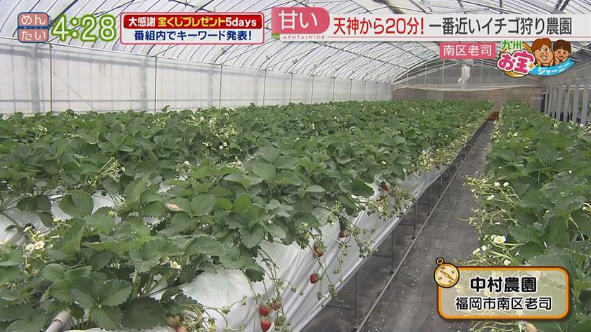 九州お宝ジャーニー｜福岡市南区編