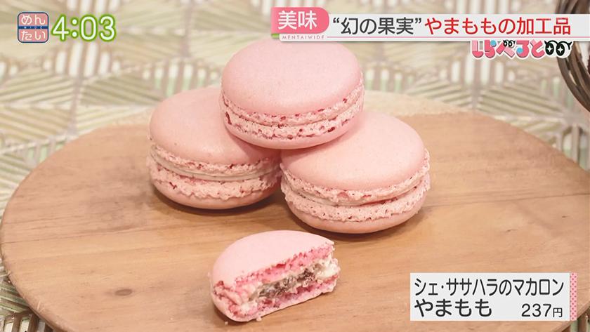 夕刊めんタイムリー｜しらべると　那珂川市で発見!幻の果実“やまもも”大調査
