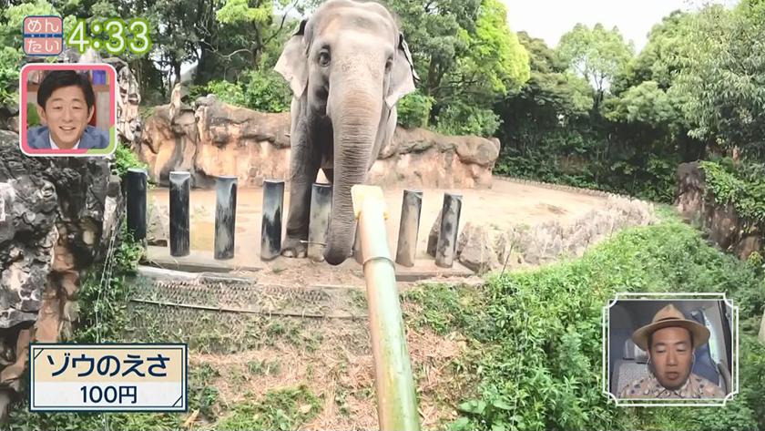 超主観旅｜小倉北区編