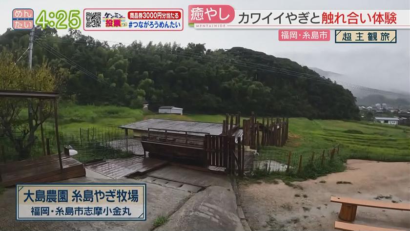 超主観旅|福岡・糸島市 超主観旅|福岡・糸島市