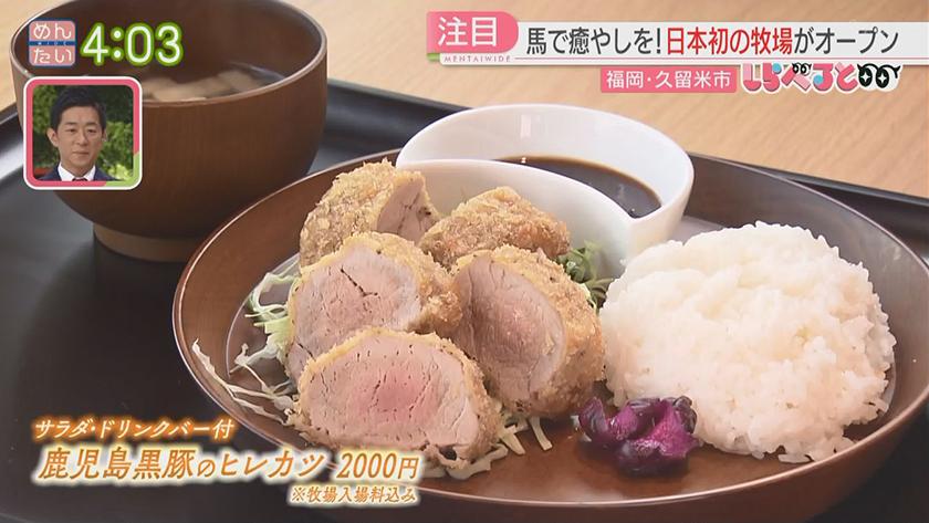夕刊めんタイムリー｜しらべると～馬で癒やしを!日本初の牧場がオープン(久留米市)～