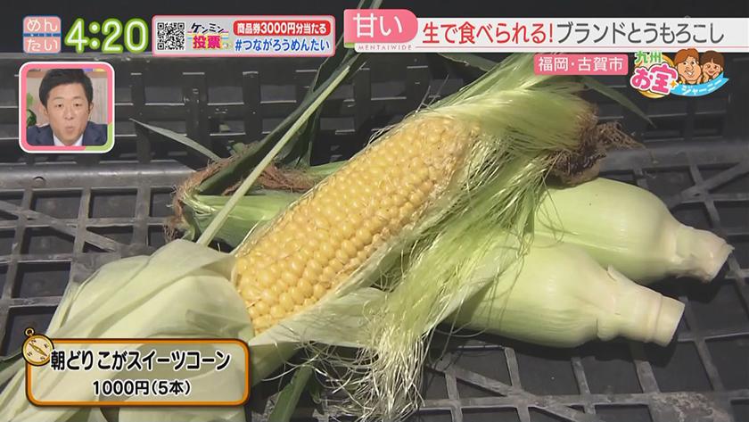 九州お宝ジャーニー｜古賀市編