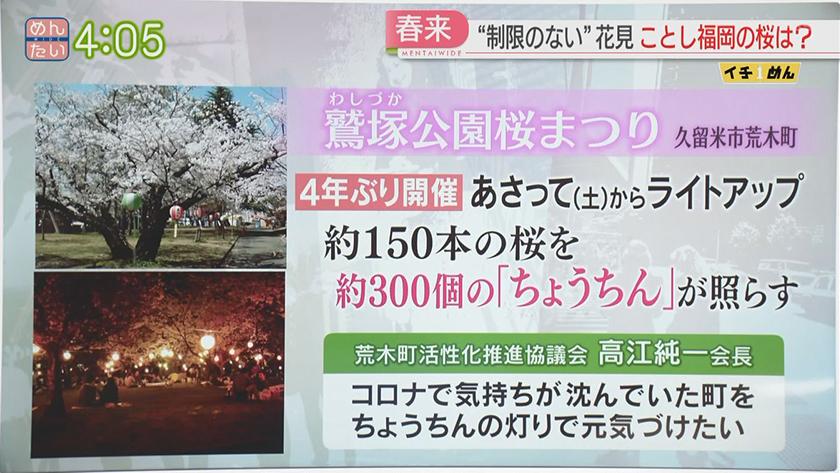 イチめん|制限のない花見 ことしの福岡桜事情 イチめん|制限のない花見 ことしの福岡桜事情