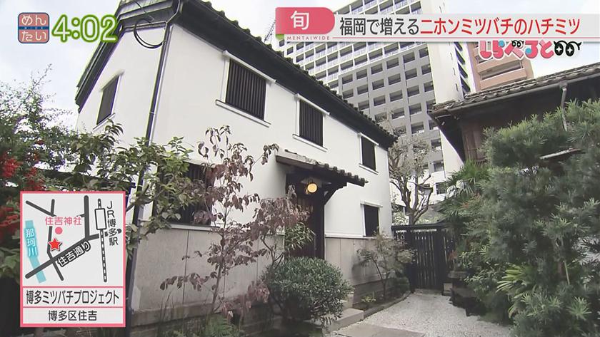 夕刊めんタイムリー｜しらべると～希少！ニホンミツバチのハチミツが福岡で広がる？～