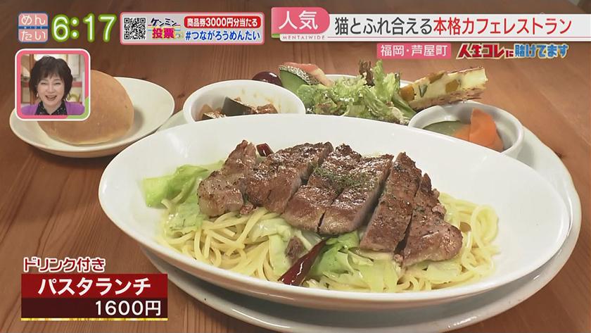 人生コレに賭けてます｜採算度外視で猫の保護活動をする料理人(芦屋町)