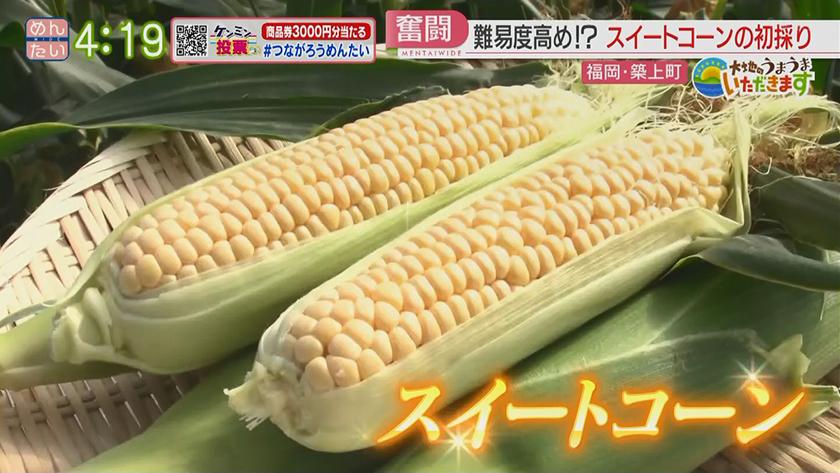 大地のうまうまいただきます【週替わり新企画】｜スイートコーン(築上町)　前編