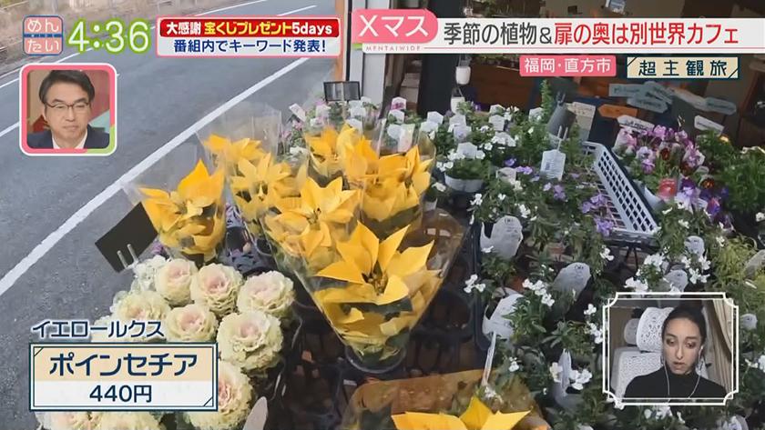 超主観旅｜直方市