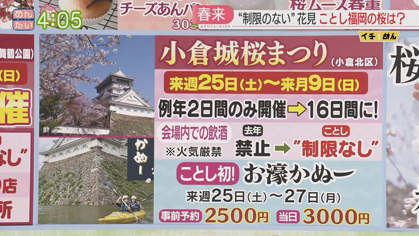 イチめん|制限のない花見 ことしの福岡桜事情 イチめん|制限のない花見 ことしの福岡桜事情