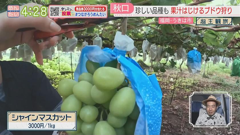 超主観旅|うきは市編 超主観旅|うきは市編