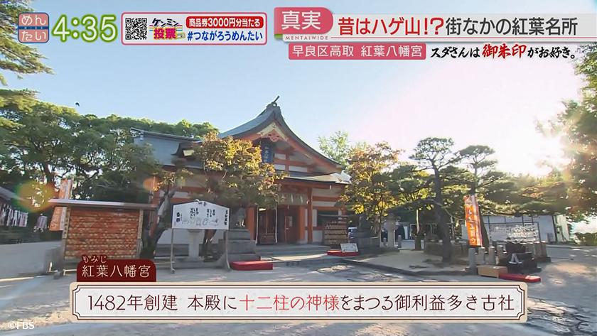 スダさんは御朱印がお好き。|秋の神社巡り旅 スダさんは御朱印がお好き。|秋の神社巡り旅