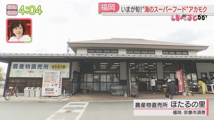 夕刊めんタイムリー|しらべると~今が旬!海のスーパーフード“アカモク”~ 夕刊めんタイムリー|しらべると~今が旬!海のスーパーフード“アカモク”~