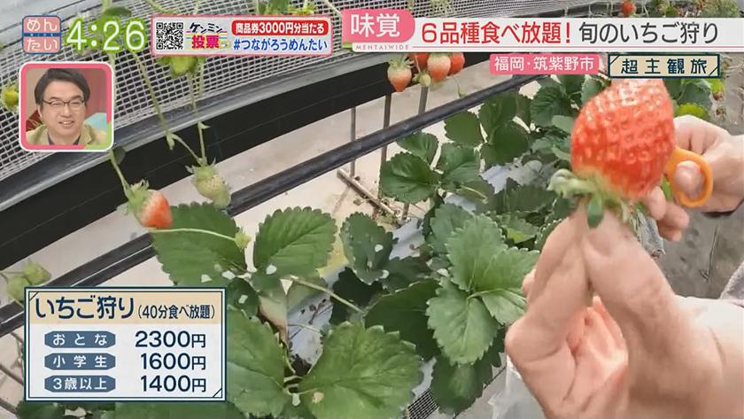 超主観旅|筑紫野市周辺 超主観旅|筑紫野市周辺
