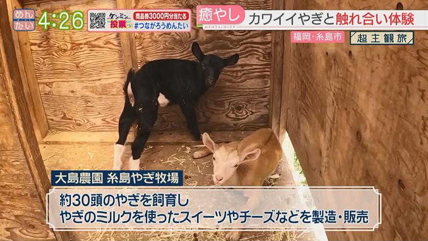 超主観旅|福岡・糸島市 超主観旅|福岡・糸島市