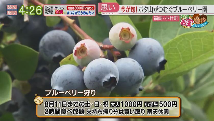 九州お宝ジャーニー|小竹町 九州お宝ジャーニー|小竹町