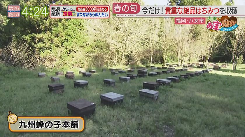九州お宝ジャーニー|八女市 九州お宝ジャーニー|八女市
