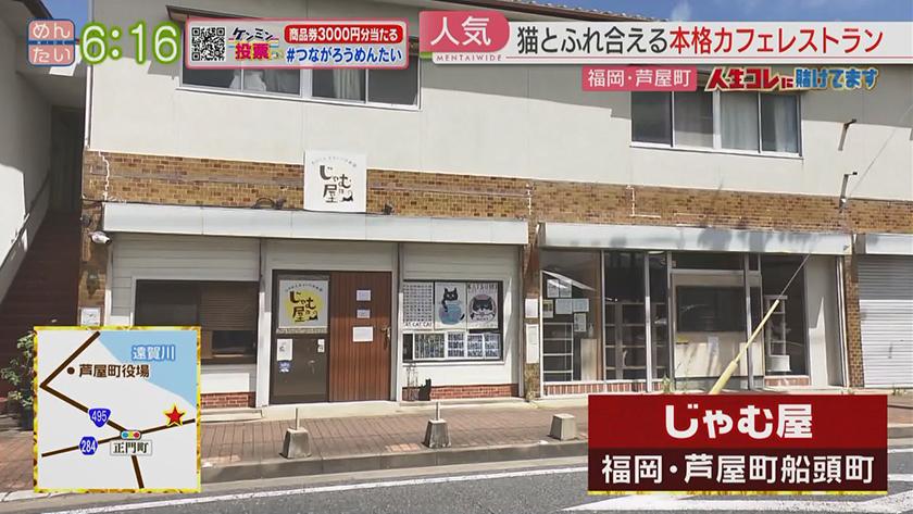 人生コレに賭けてます｜採算度外視で猫の保護活動をする料理人(芦屋町)