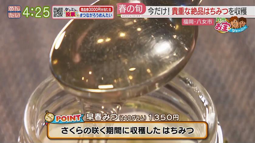 九州お宝ジャーニー|八女市 九州お宝ジャーニー|八女市