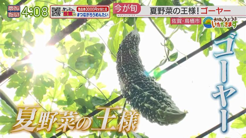 大地のうまうまいただきます【週替わり新企画】｜夏野菜の王様！佐賀のゴーヤー