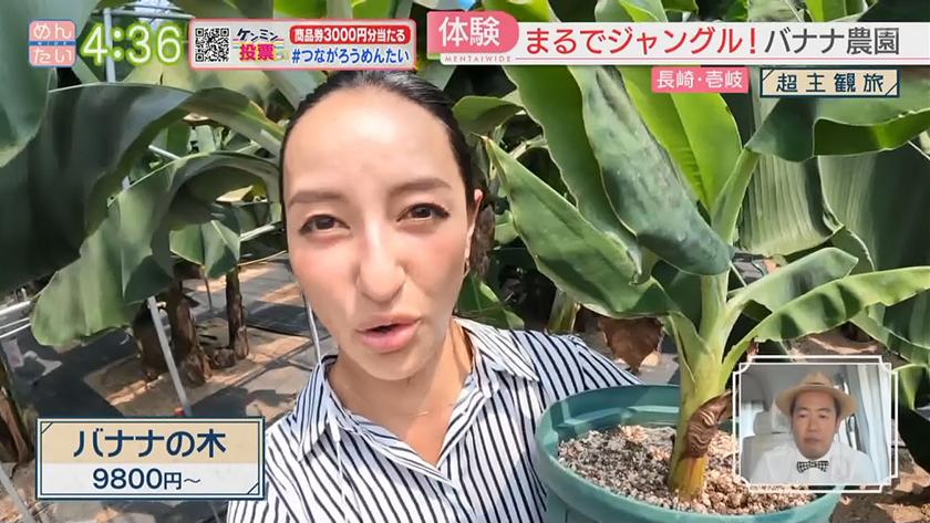 超主観旅｜長崎・壱岐