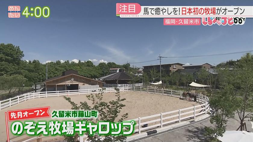 夕刊めんタイムリー｜しらべると～馬で癒やしを!日本初の牧場がオープン(久留米市)～