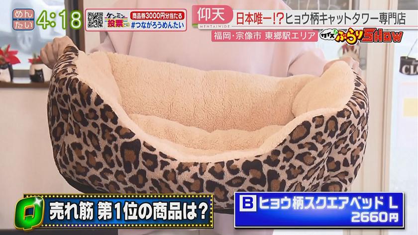 クイズぶらりSHOW｜東郷駅周辺(宗像市)