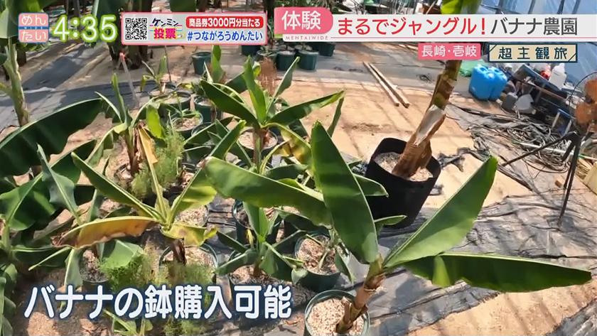 超主観旅｜長崎・壱岐