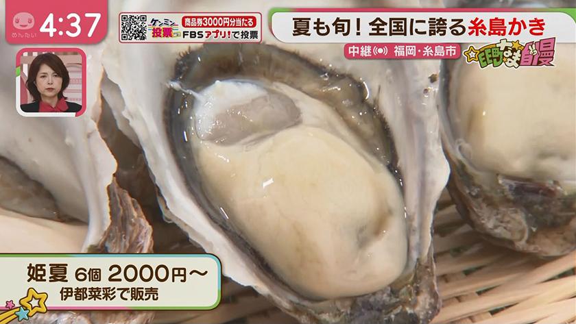 集まれ!EE町なま自慢｜糸島のブランドかき大集合