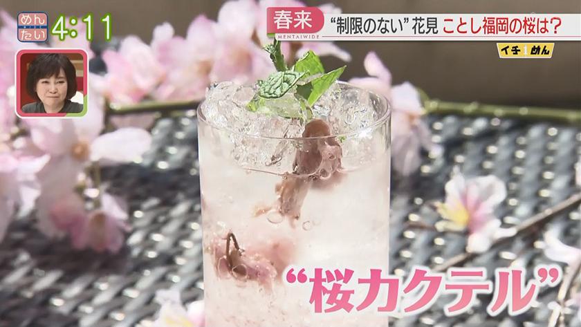 イチめん|制限のない花見 ことしの福岡桜事情 イチめん|制限のない花見 ことしの福岡桜事情
