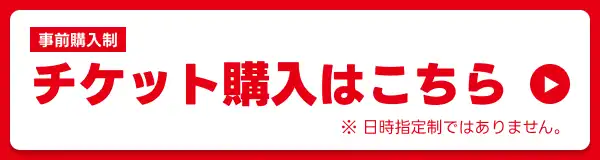 チケット