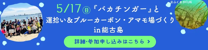 アマモ場づくりin能古島